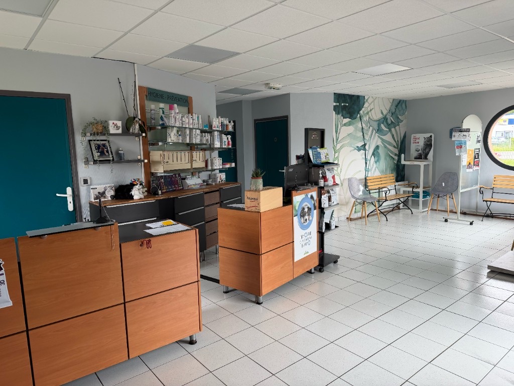 Salle d'attente et accueil de la clinique vétérinaire de Lanveur